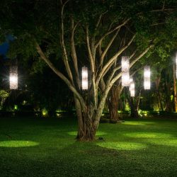 Garden Lights